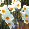 Narcisse