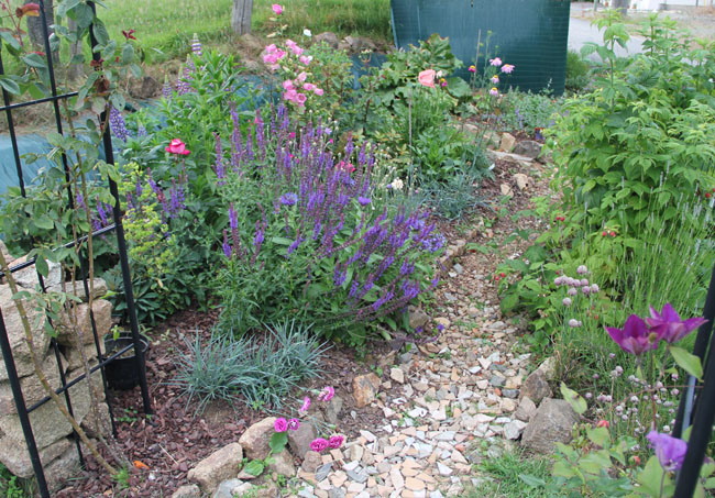Massif Potager